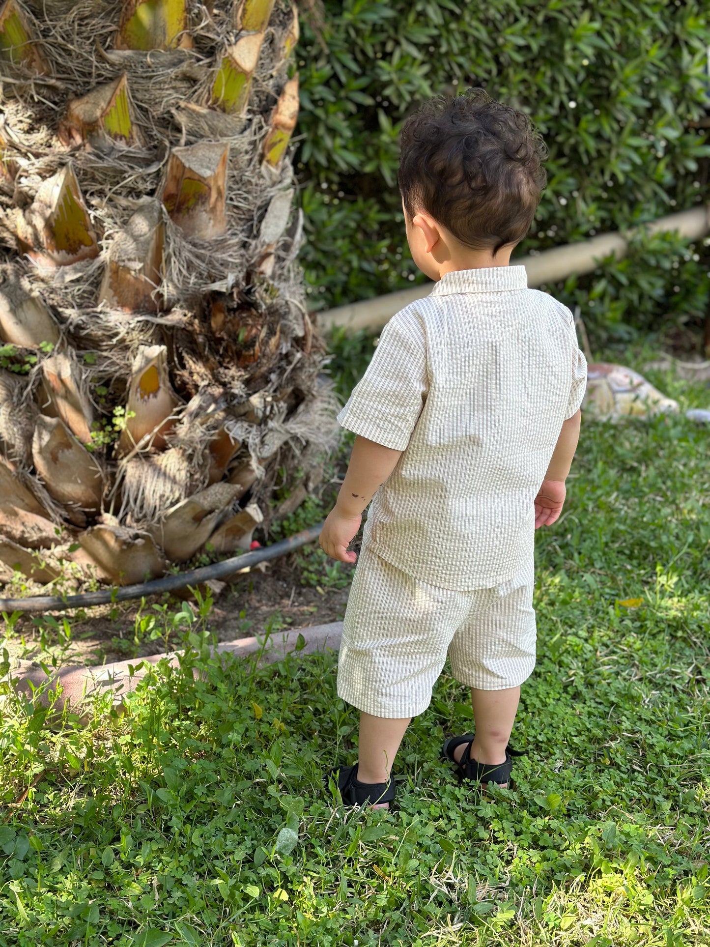 Shirt & Shorts Set - Stripes